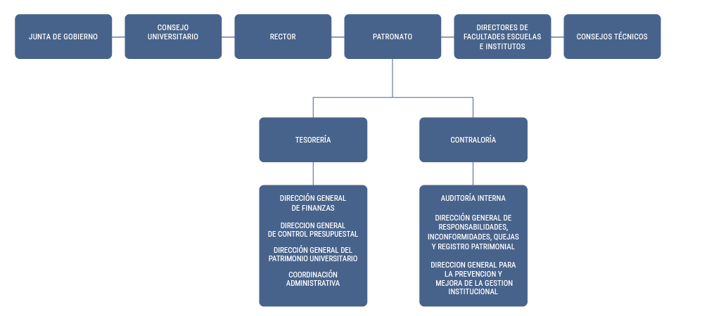 Organigrama del Patronato